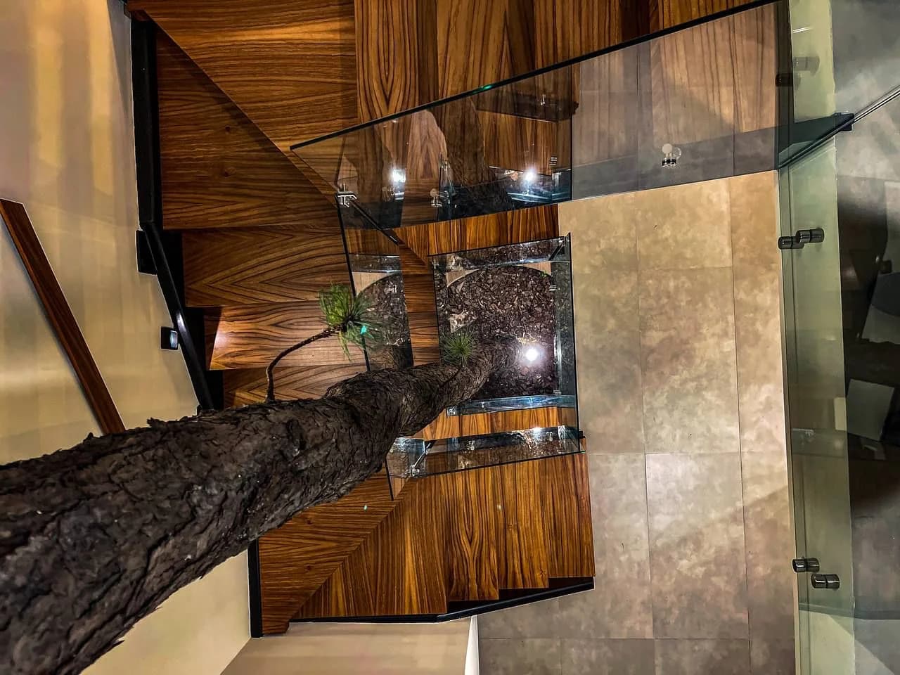 Escalera de Casa Dos Pinos con barandal de cristal junto a un tronco conservado