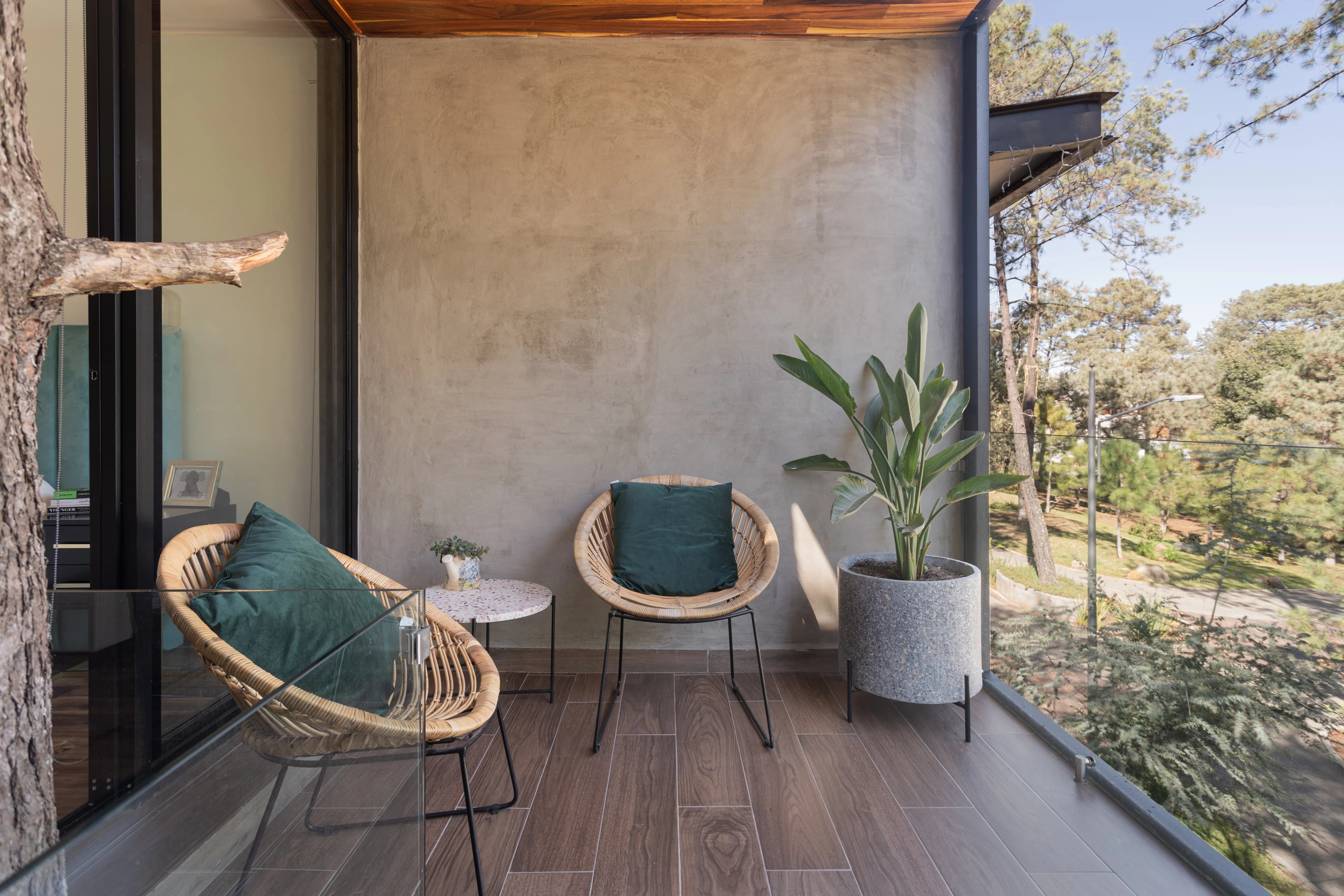 Terraza de Casa Zorros con sillones tejidos y el tronco de un pino atravesando el piso
